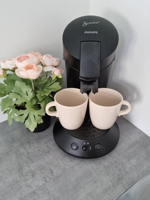 2 Pieces Apartment Nice