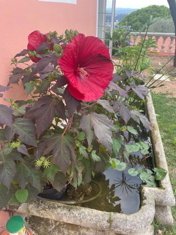 D'hotes A L'ancre Marine De La Rose *
