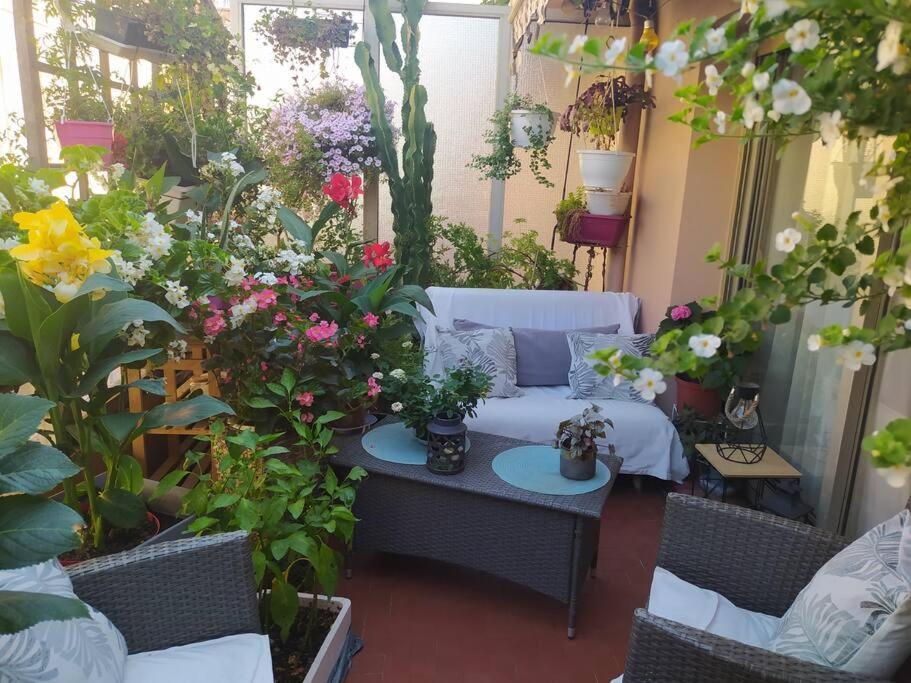 Chambre D'hote De Charme Avec Petit Dejeuner Offert