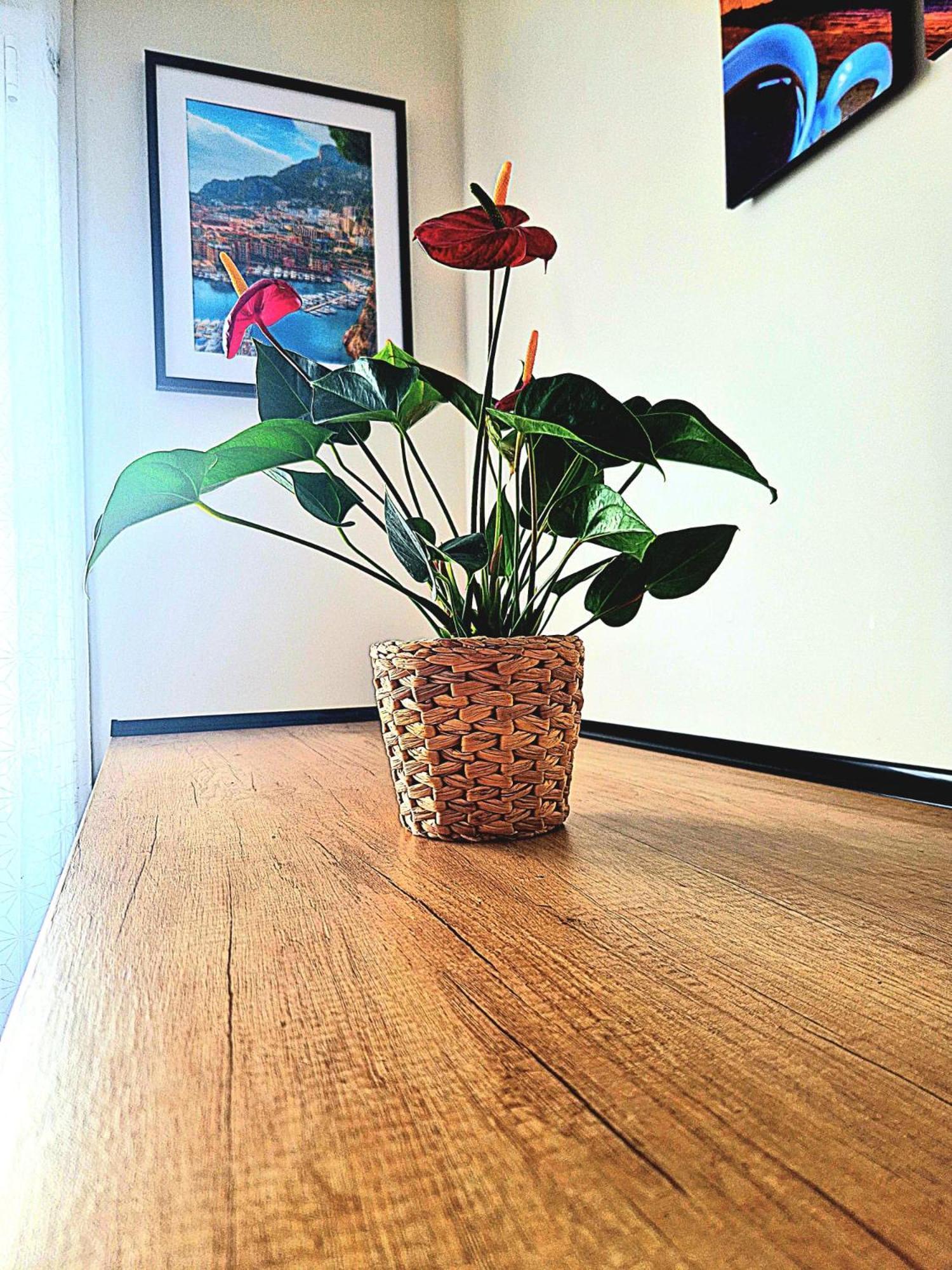 Nissalabella Appartement *