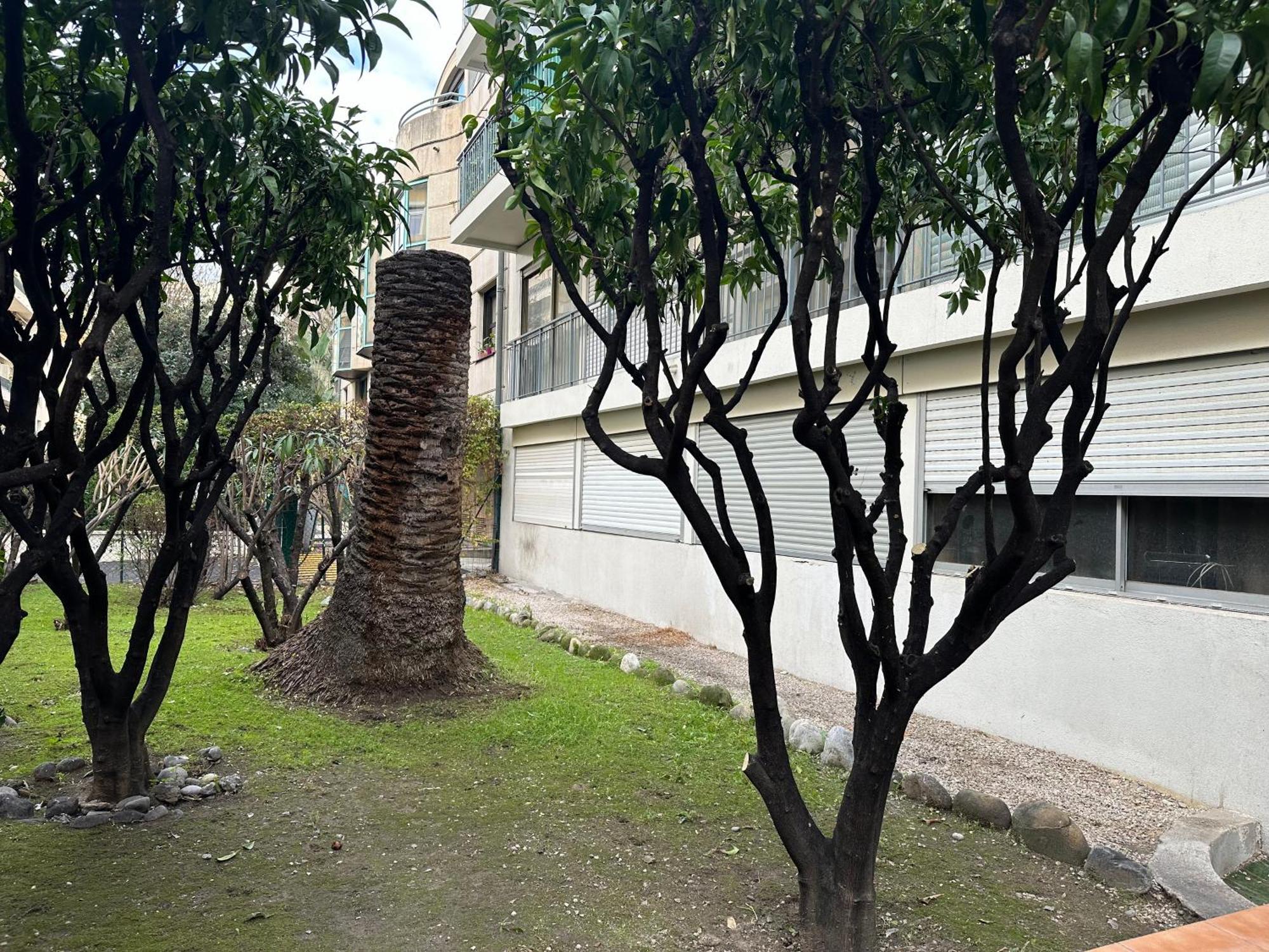 Apartment Les Clementines Nice