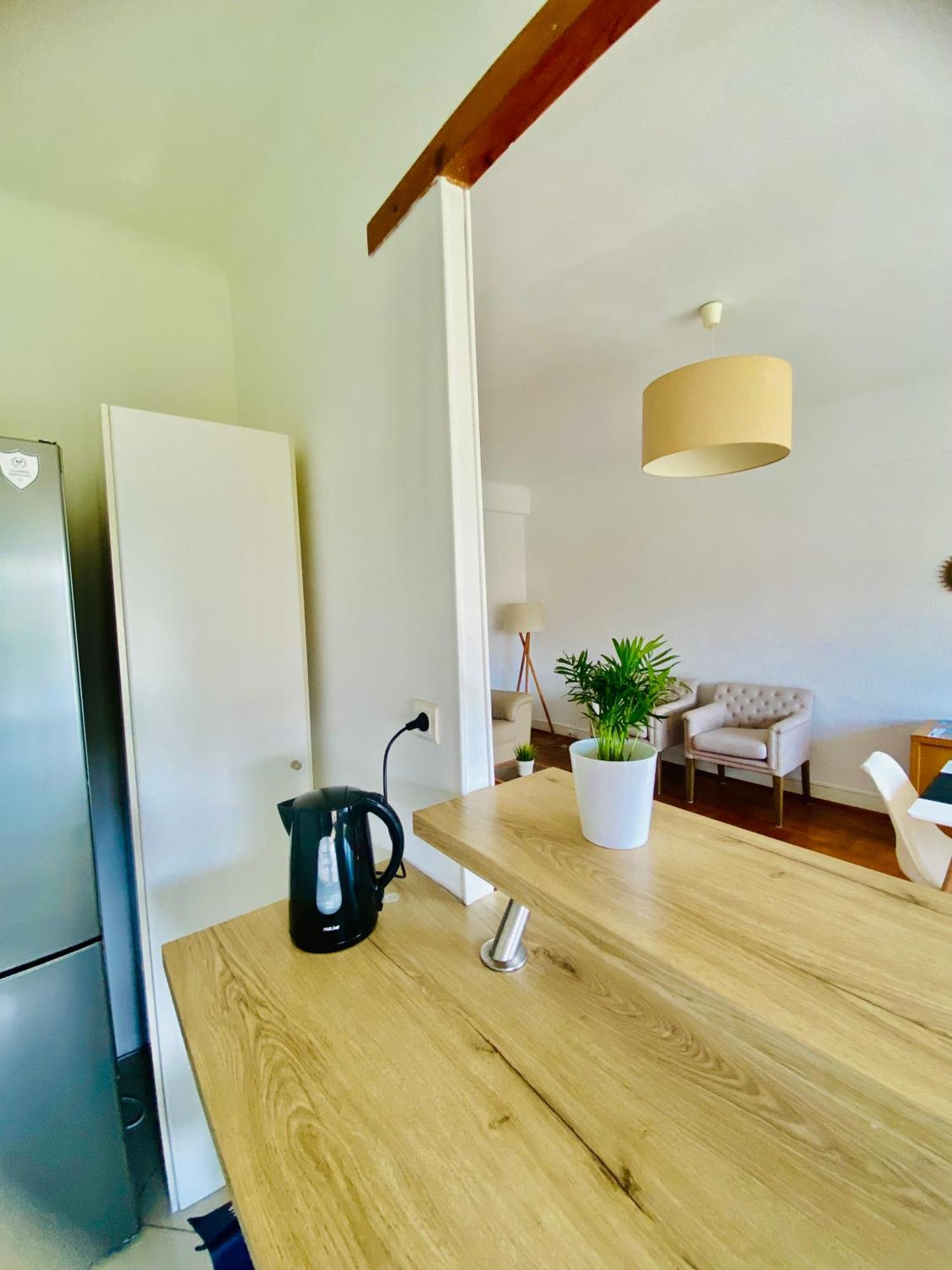 Apartment Grand 3 Pieces Avec Parking A Cimiez *