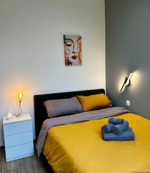 Chic Renovated 2 Bedroom Entire Or Only Private In Liberation In With Garage On Demand, Ac, Wi-fi And Tram Access * Nice