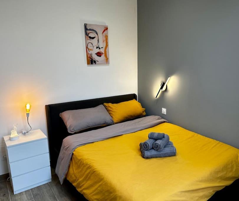 Chic Renovated 2 Bedroom Entire Or Only Private In Liberation In With Garage On Demand, Ac, Wi-fi And Tram Access