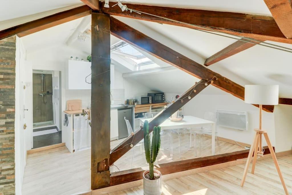 Joli Loft Mansarde Appartement