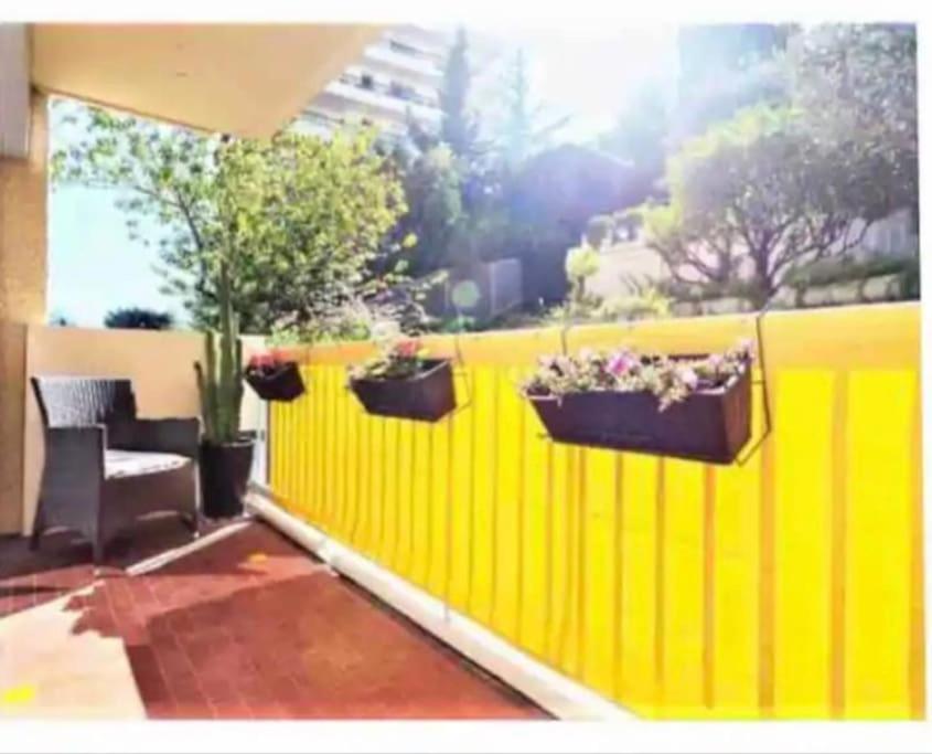 Apartment Magnificent 3 Rooms-sea View-terrace-pool *