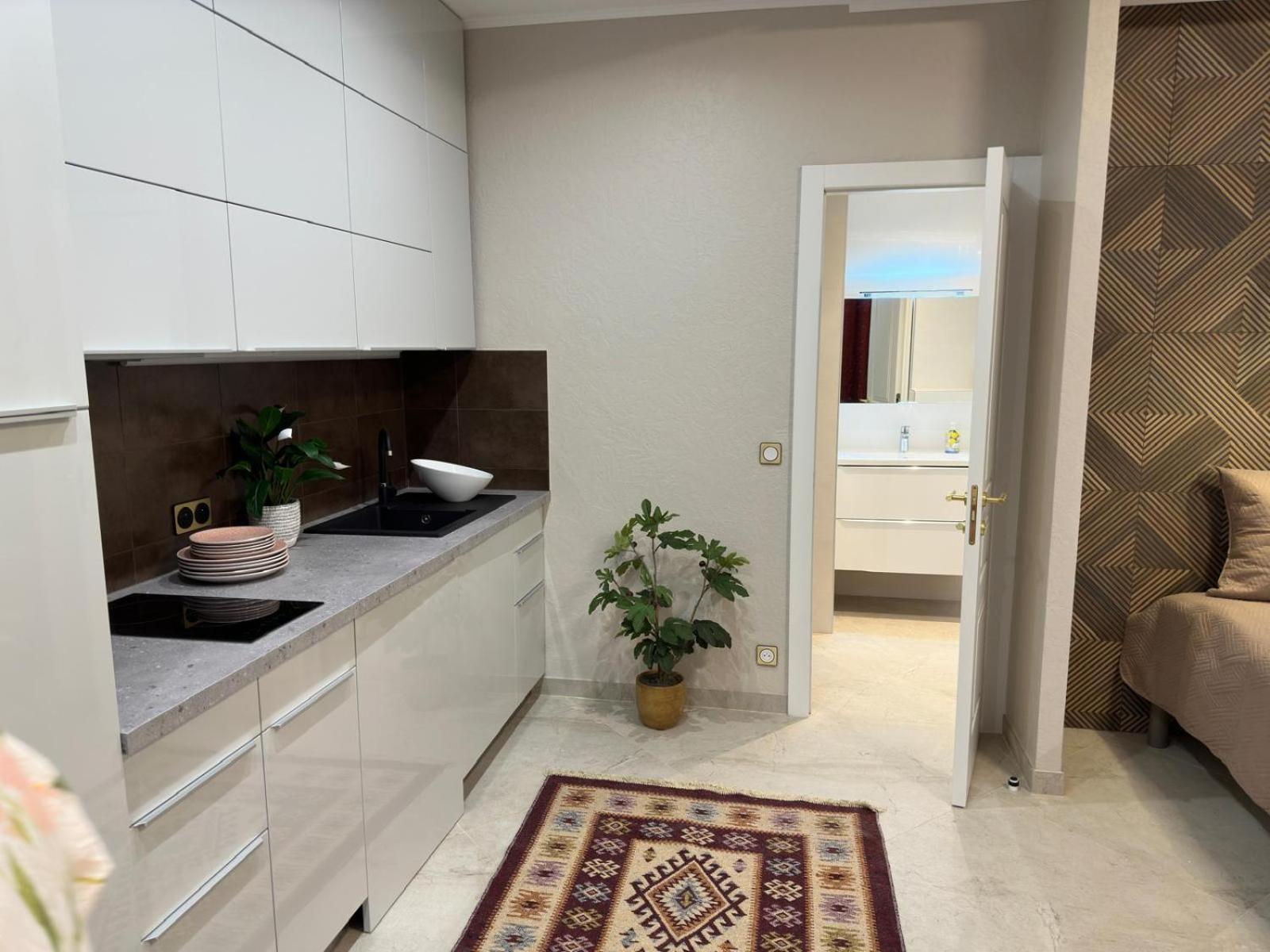 Appartement Extraordinaire Grand Au Centre 6 Minutes A Pied De La Et L'hotel Negresco *