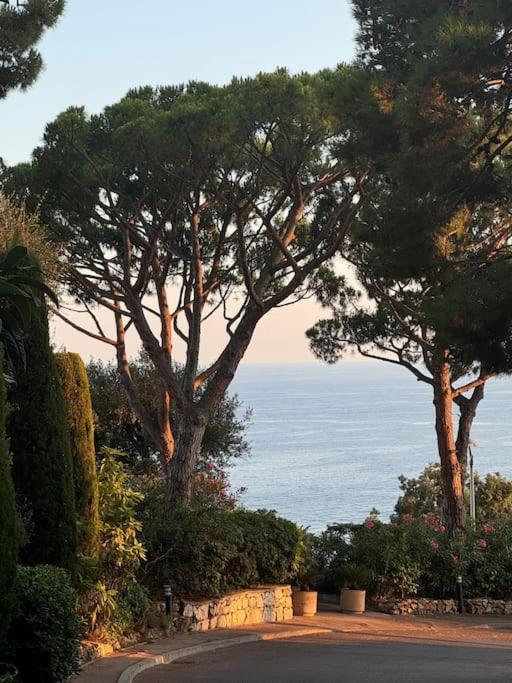 Balcon Sur La Mediterranee Nice