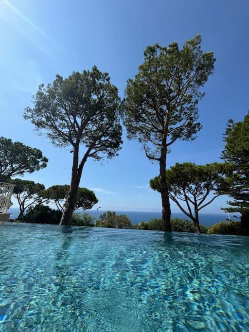 Balcon Sur La Mediterranee