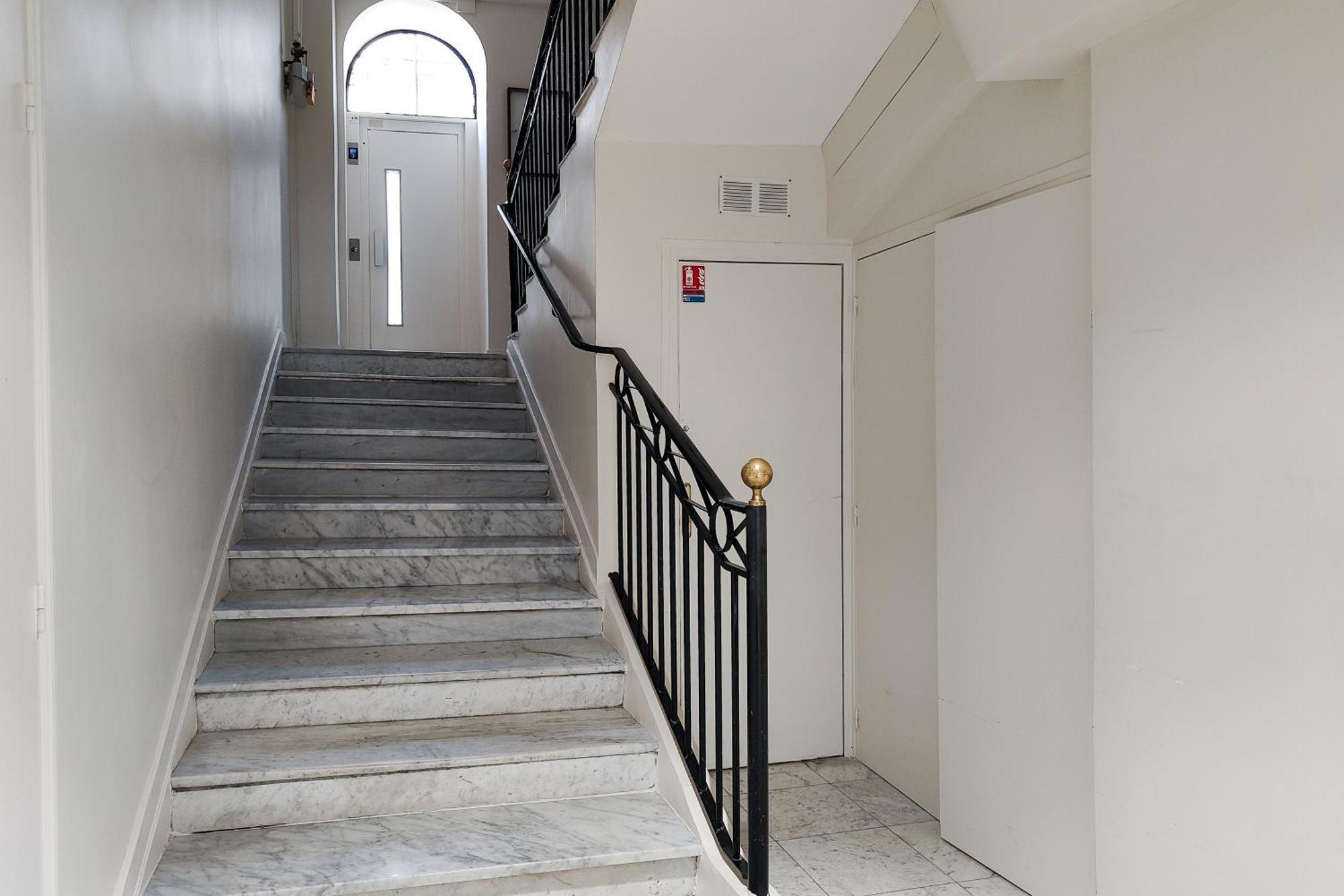 Ammi Massena - Ex Ajoupa