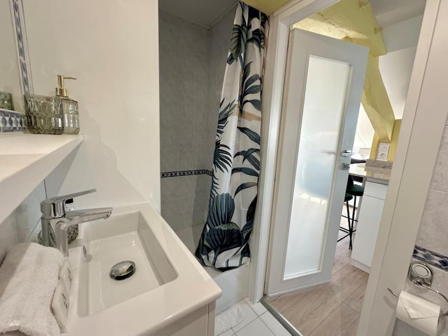 Apartment Joli Studio, Idealement Situe, Tres Proche Gare