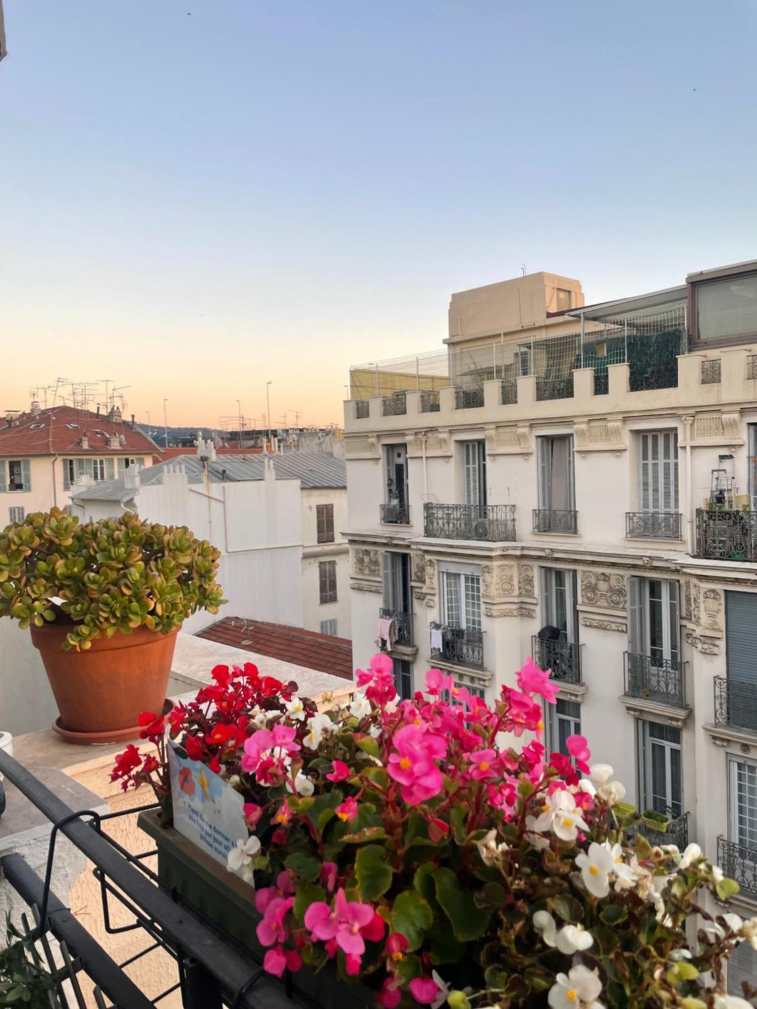 Apartment Bright At Mimi's Nice