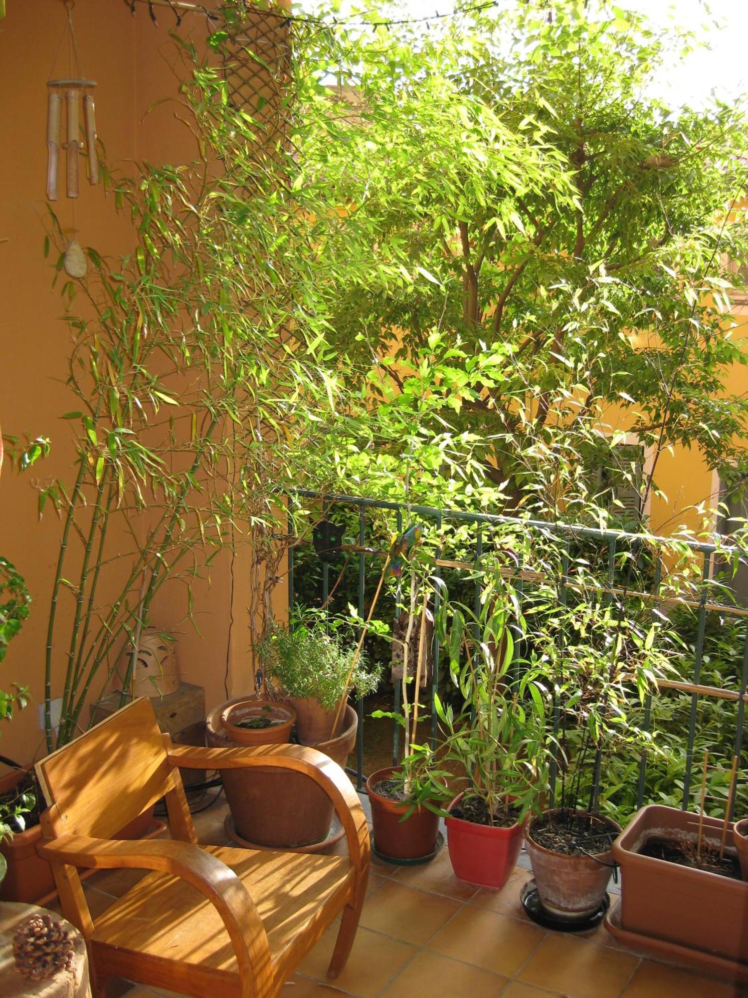 3p Loggia Parking Vieux Nice, Calme Sur Jardin * Nice
