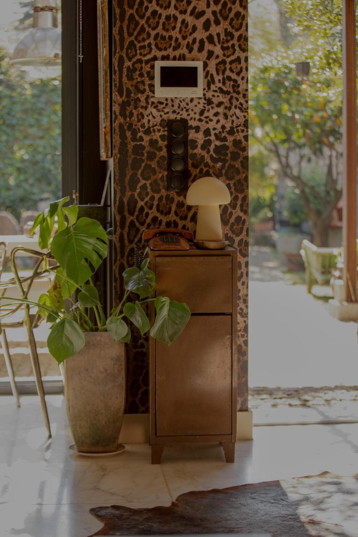 Cozy Vintage House With Pool In Cimiez Villa *