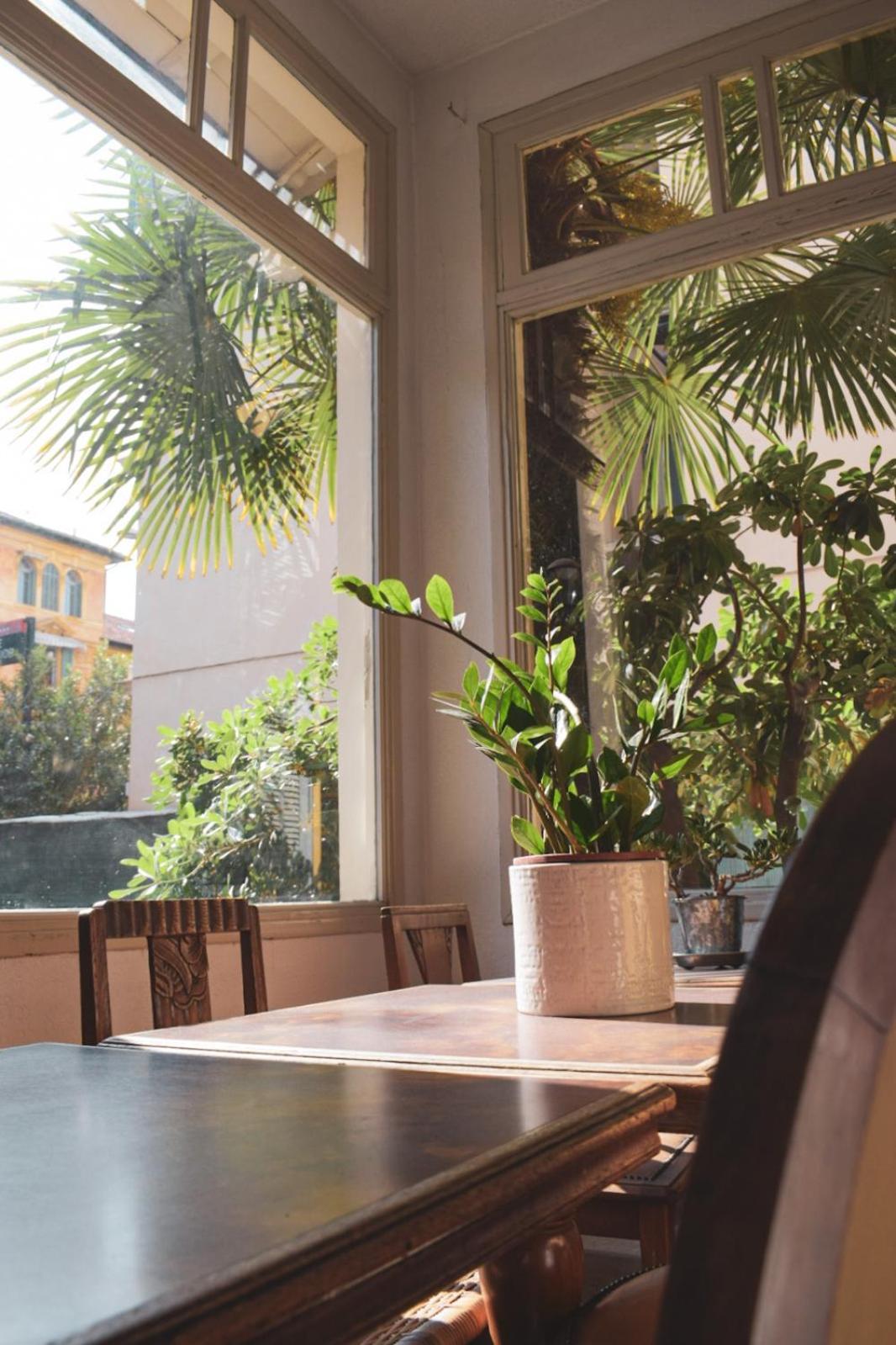 Belle Meuniere * Nice