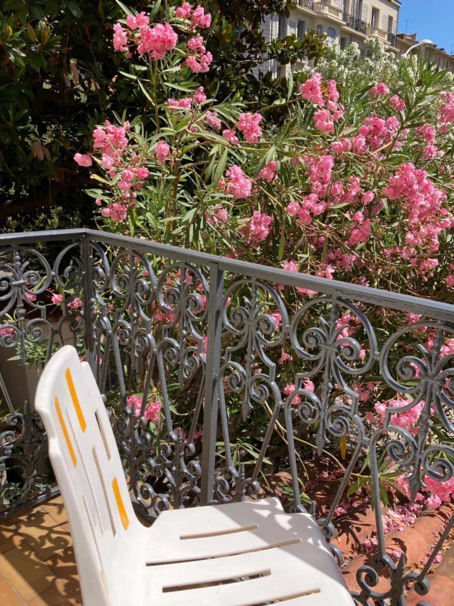 Belle Meuniere * Nice