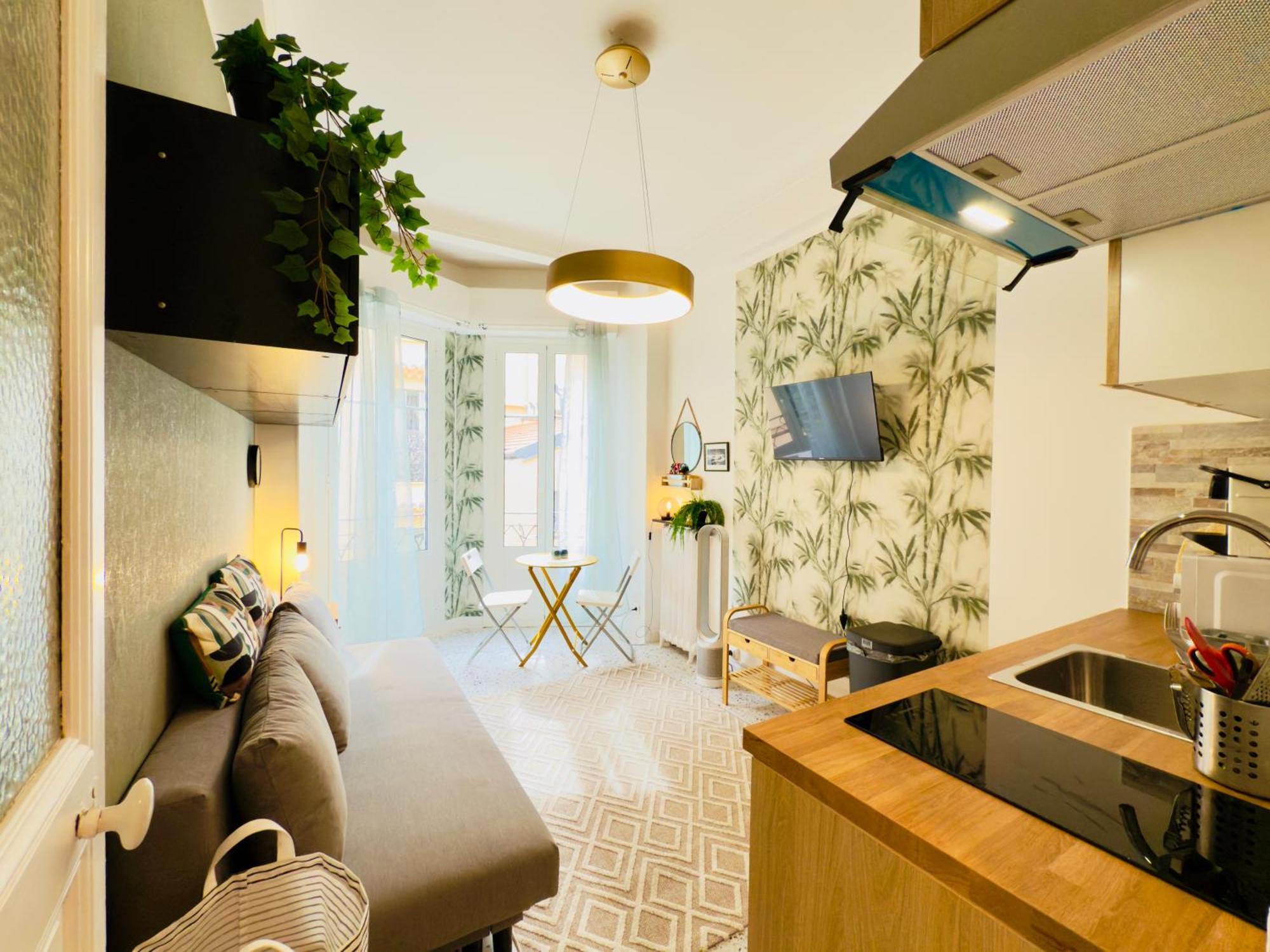 Petit Bijou 1 Pers Wifi Nice