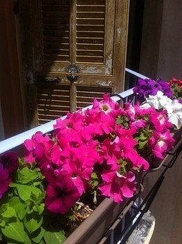 Altea Hostel Nice