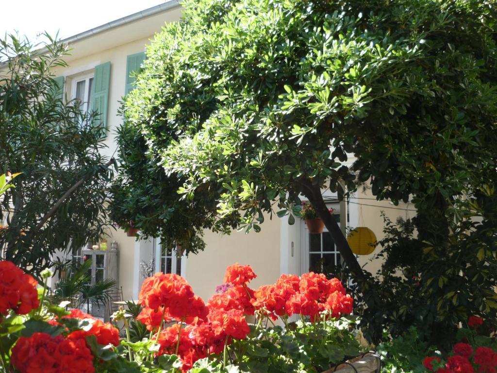 Logis Victorine Nice