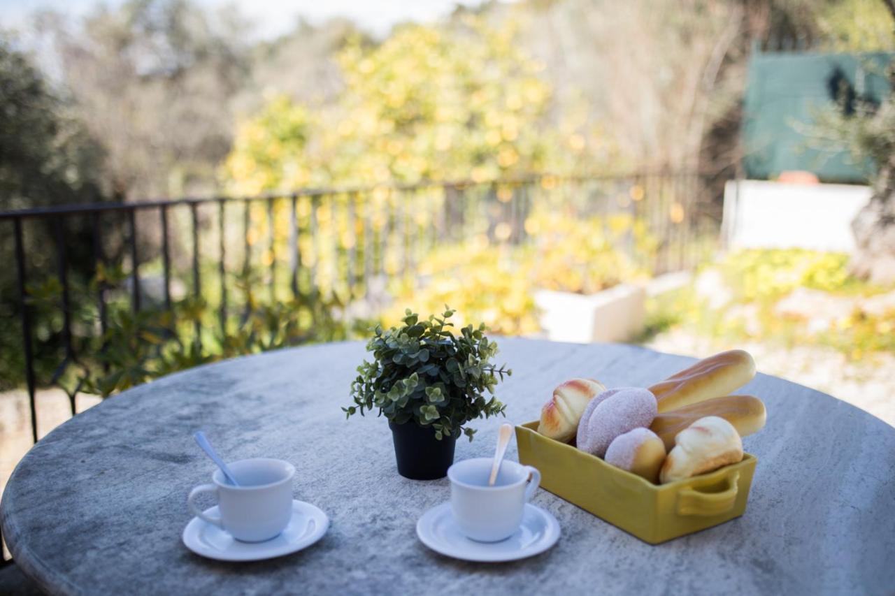 Villa Vinaigrier Hills Vi3086 By Riviera Homes *