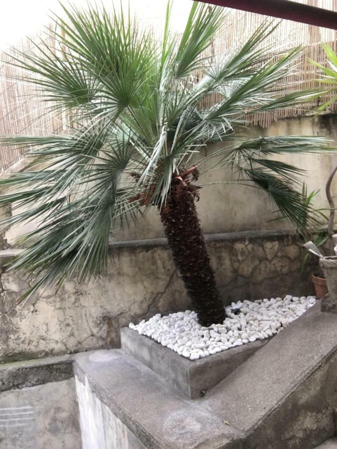 Appartement Grand Face Jardin *