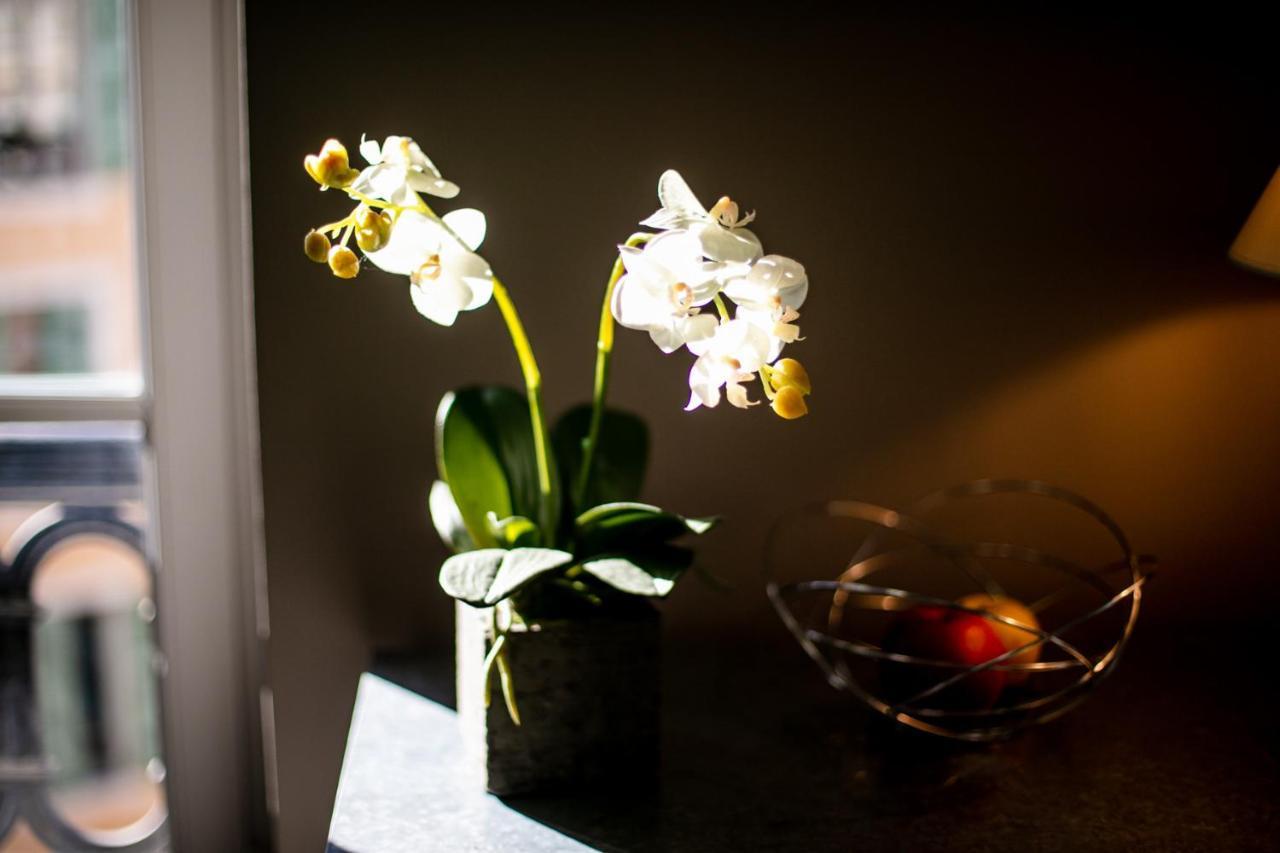 Vue Magenta Ap4188 By Riviera Homes * Nice