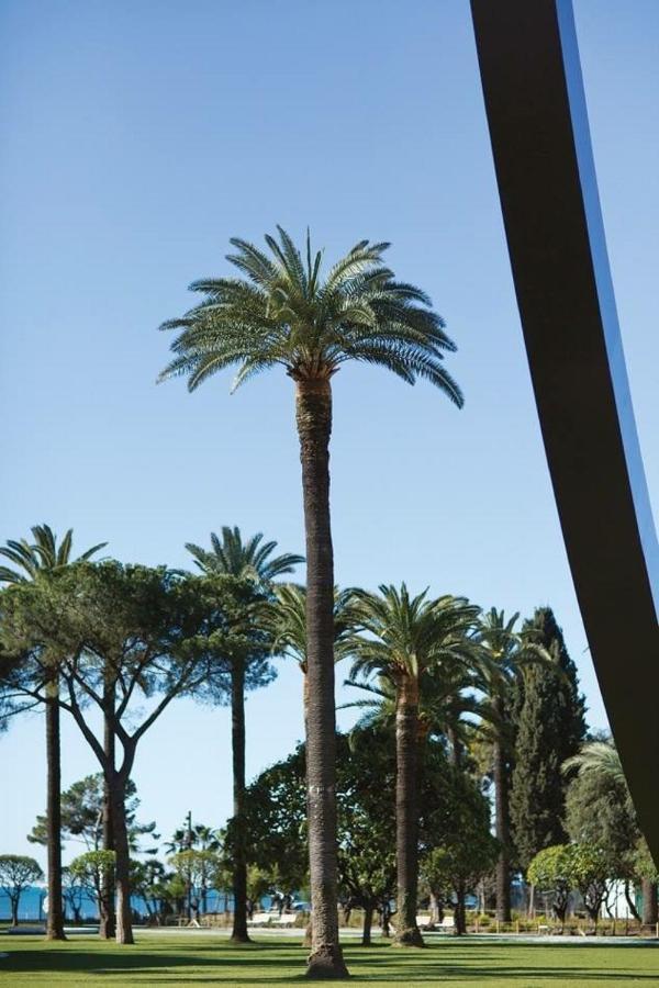 Apartment Le Philibert - Splendid, 6 Bedrooms, 12p, Port, Air Cond *